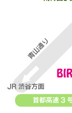 鳥専門店 Birdmore青山店 店舗情報